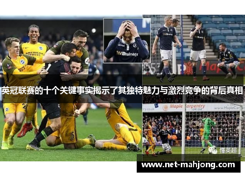 英冠联赛的十个关键事实揭示了其独特魅力与激烈竞争的背后真相