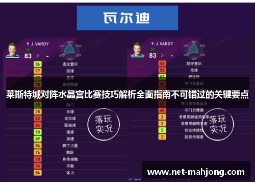 莱斯特城对阵水晶宫比赛技巧解析全面指南不可错过的关键要点